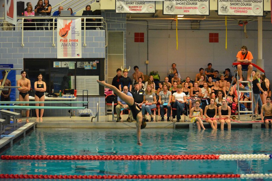 RM Swim and Dive boys team takes 3rd at Metros meet, 1st out of public schools