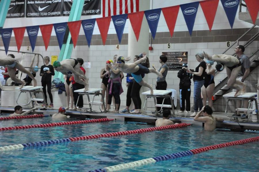 Photo Gallery: Swim & Dive Regional Championship Meet