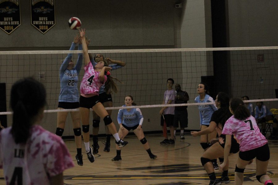 Photo Gallery: Girls Volleyball v Clarksburg