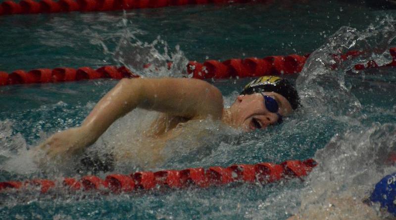 Swim and Dive sends off seniors in their last dual meet with prospects of a promising future