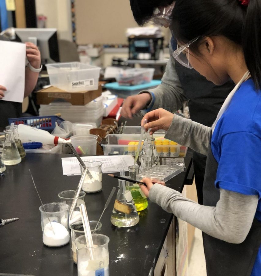 On Feb. 29, RM hosted the regional Division B Science Olympiad tournament for middle schoolers for the first time, welcoming over 700 middle schoolers for the competition.