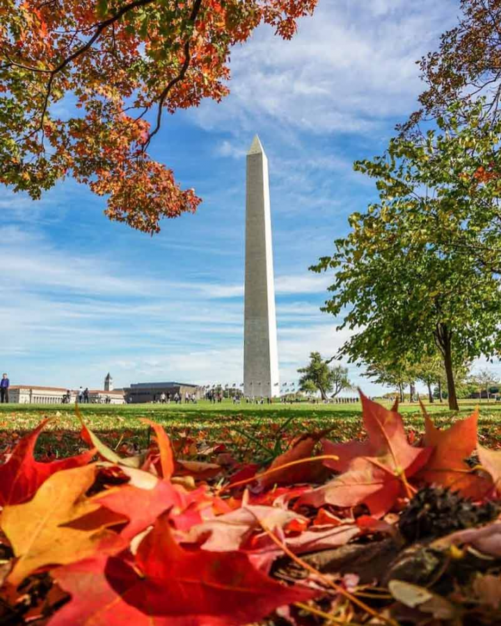 Head over to the Washington Monument in D.C. to experience a local piece of history.