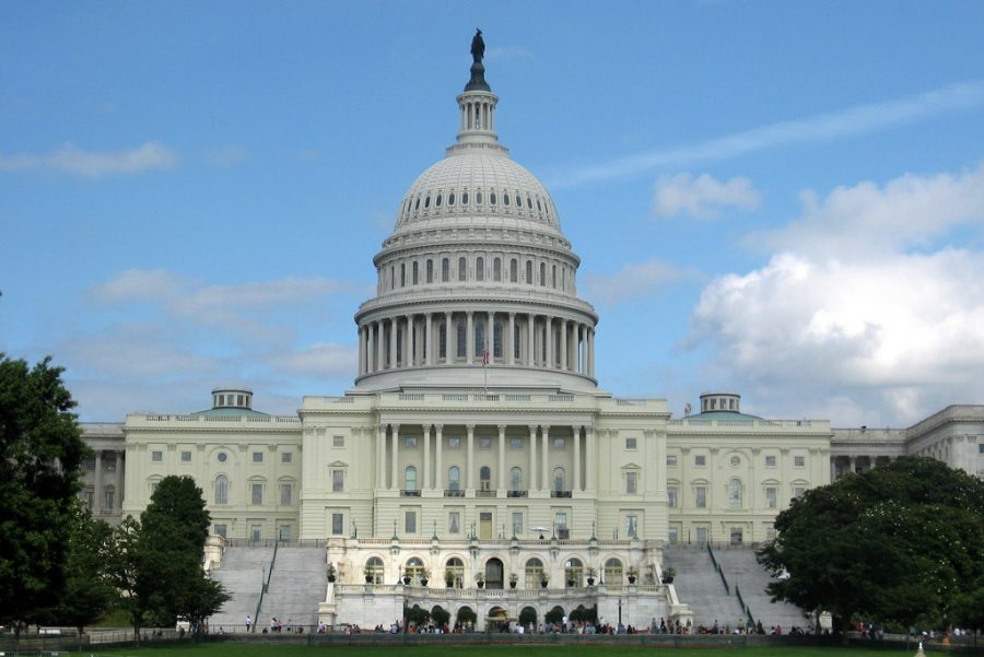 Thousands of rioters stormed Capitol Hill in Washington, D.C. on Wednesday, Jan. 6, to dispute the 2020 election results.