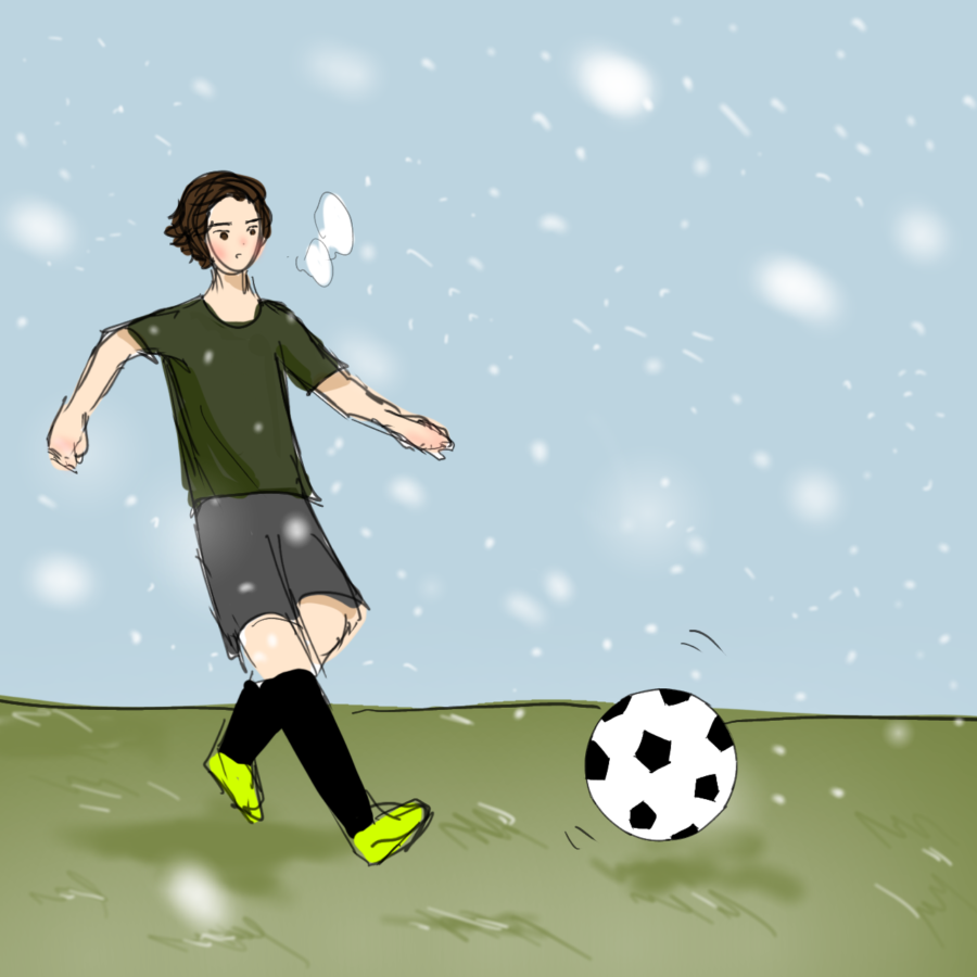 soccer ball snow