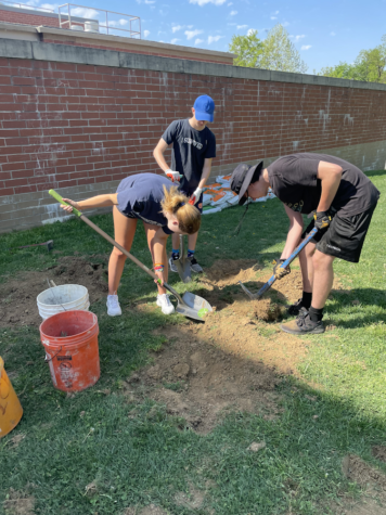The Climate Club plants multiple trees for a green initiative at RM. 