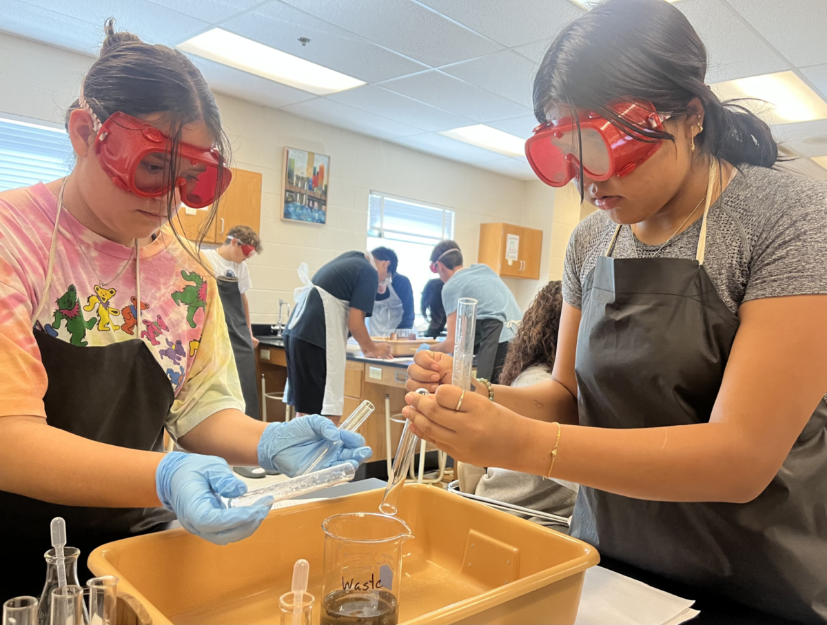 Photo of the Day: Students enjoy chemistry lab with Mrs. Park