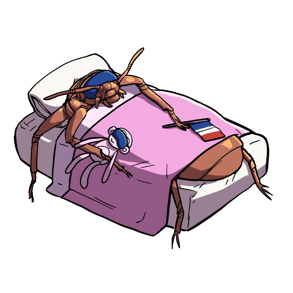 Bed bugs are small parasitic insects that feed on the blood of animals and humans. 