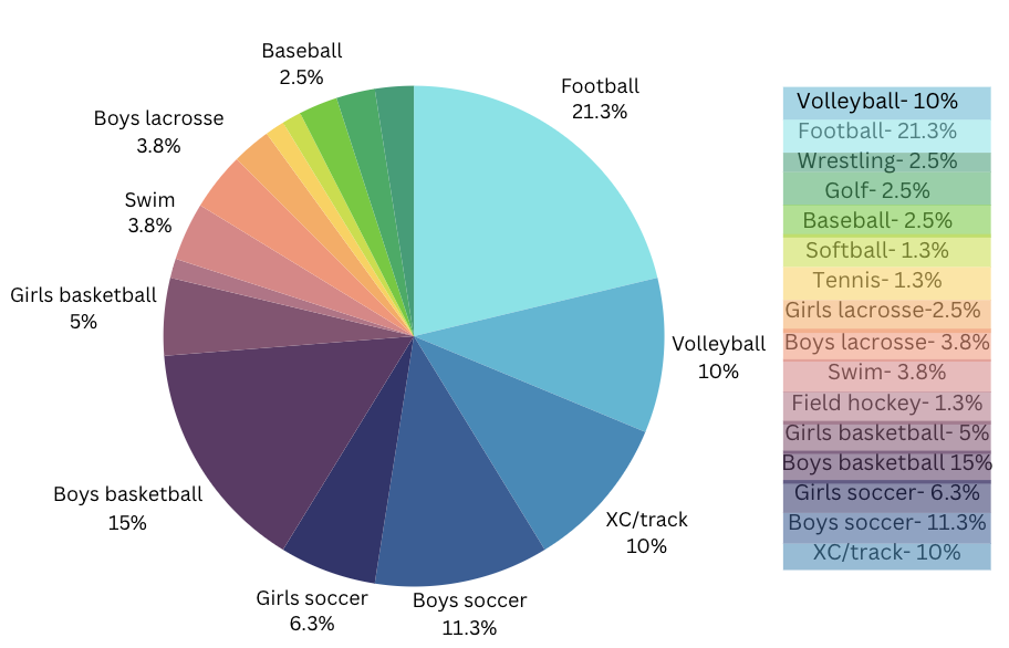 Football+is+the+most+covered+sport+by+The+Tide+as+it+accounts+for+21.3+percent+of+sports+coverage.