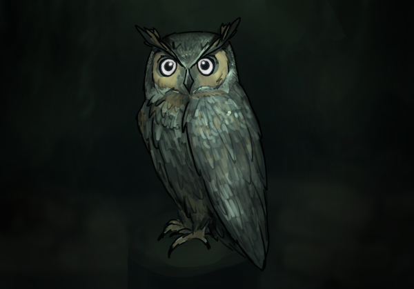 Owls are widely-known nocturnal animals, catching their prey at night. 