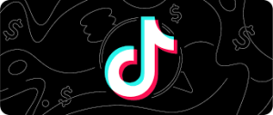 TikTok is central to American culture, but faces many concerns over data security and privacy. 