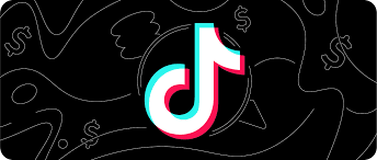 TikTok is central to American culture, but faces many concerns over data security and privacy. 