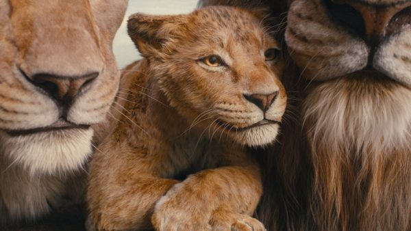 An image of a young Mufasa with his family in Dinsey's upcoming "Mufasa" film.