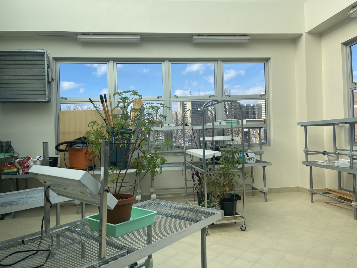 The greenhouse on the third floor is a cozy hideout for students to recharge.