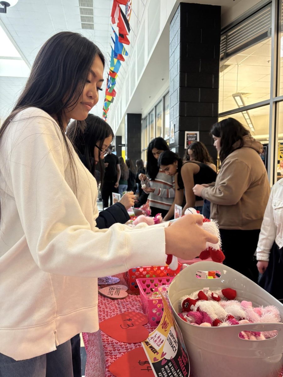 Browsing a basket, junior Sarah Candila buys a Valentines plush in support of literacy clubs. On February 13, mainstreet hosted several clubs selling a variety of plushes, candies, and roses.  "I want to surprise my boyfriend with something so I'm picking something," said Candila.