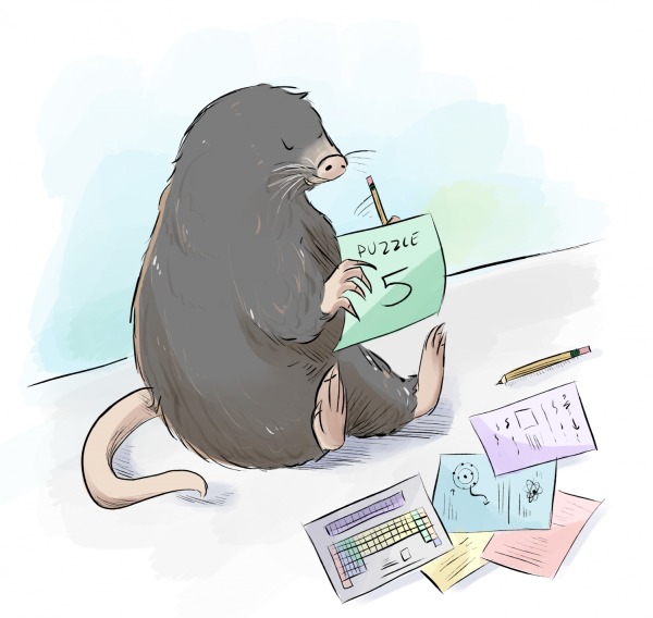 The Puzzle Hunt Club hosts two puzzle hunts annually to celebrate Pi Day and Mole Day.