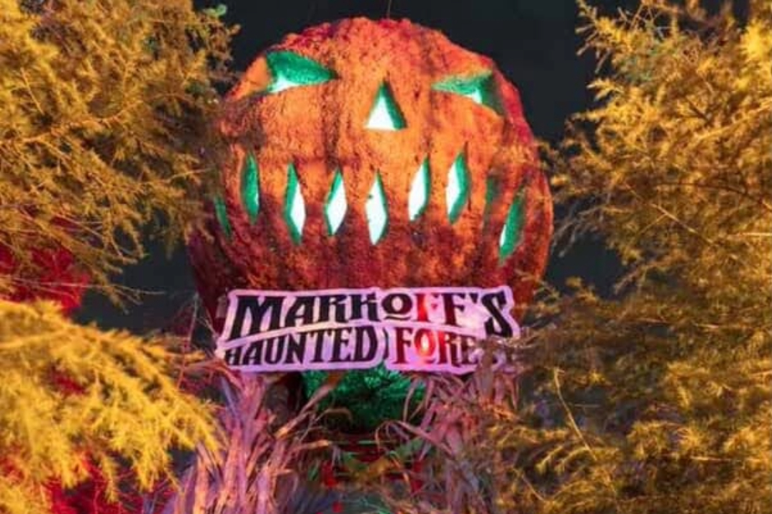 Adobe Express - file (2)