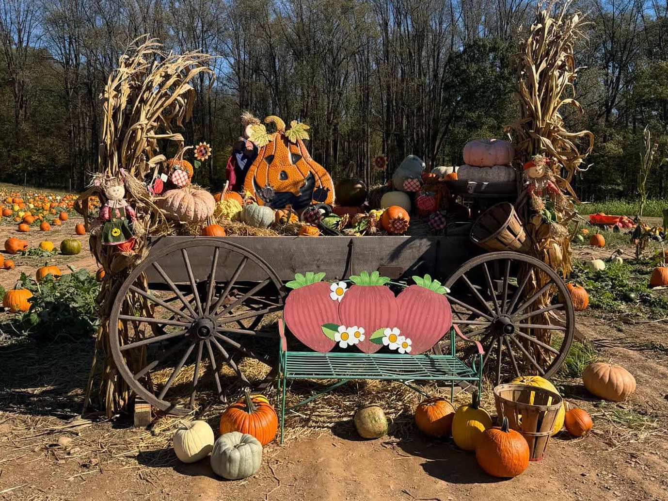 Butler’s Orchard has many wagons, signs and activities to take pictures at. (Photo courtesy of Isabel Pearce).