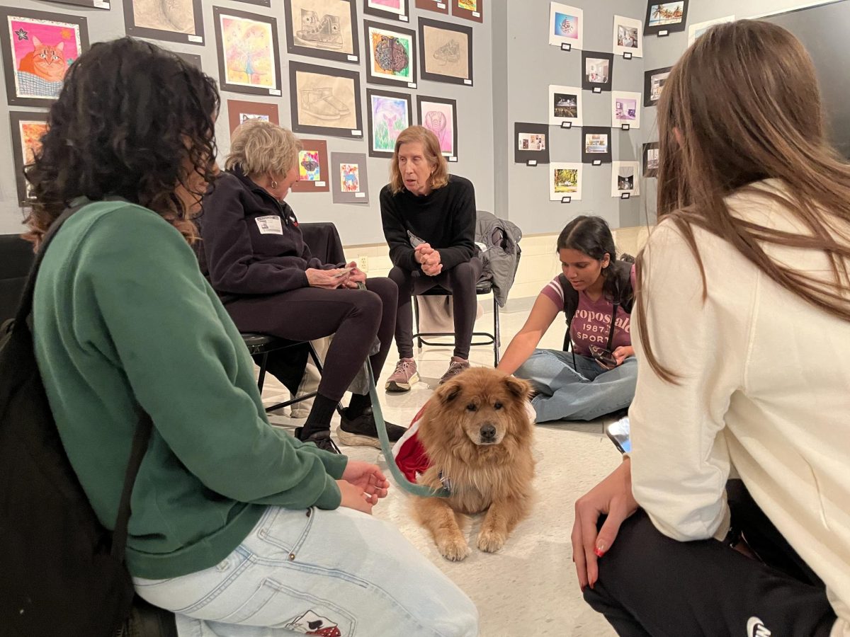 Photo of the Day: Therapy dogs bring comfort and joy