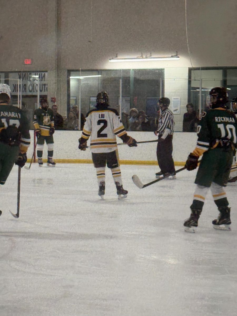 Junior Caleb Liu skates up the the face off dot and prepares to due a face off.