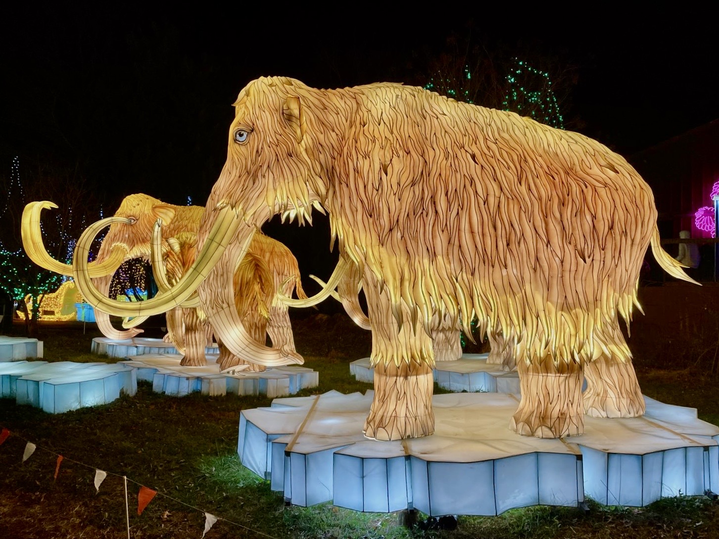 The Gaithersburg Winter Lights Festival contains over 450 illuminations fitting everyone's likes, including the Wooly Mammoth family illumination.
