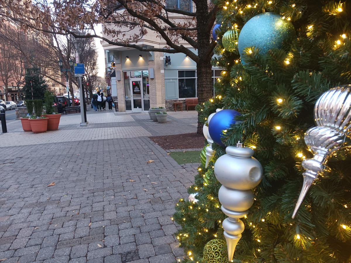 Students walk to RTC, passing the annual Christmas tree that is put up in the winter.