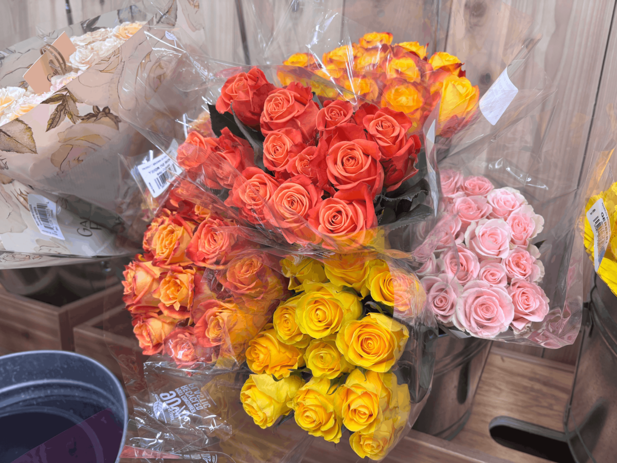 Colorful bouquets of flowers are on display at a Trader Joe's. Trader Joe's is a popular store to grab last minute presents, with a location just a 15 minute walk from RM.