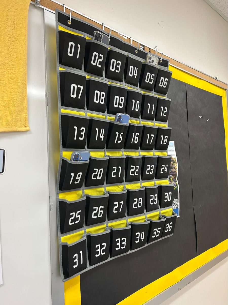 AP Psychology teacher Mr. Montalavan’s classes use a cell phone holder to put away their phones during class. Students are only allowed to take them back when class ends.